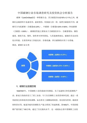 中国碳钢行业市场调查研究及投资机会分析报告.docx