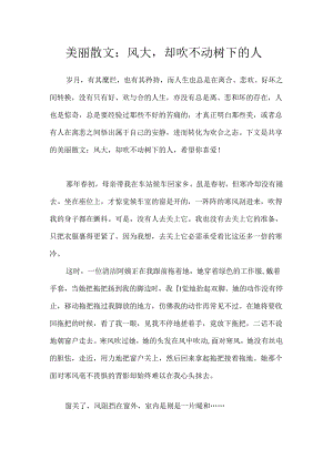 优美散文：风大却吹不动树下的人.docx