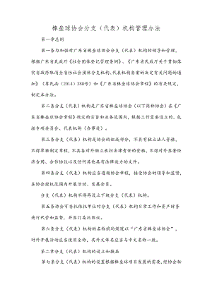 棒垒球协会 分支（代表）机构管理办法.docx