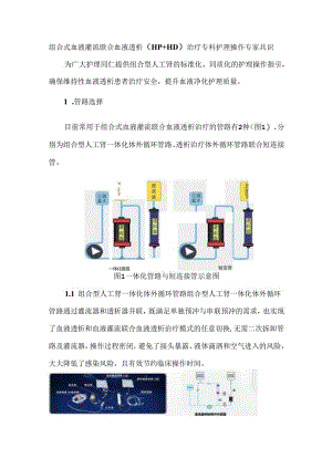 组合式血液灌流联合血液透析（HP+HD）治疗专科护理操作专家共识.docx