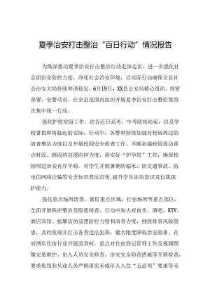公安全面推进夏季治安打击整治集中行动情况报告十二篇.docx