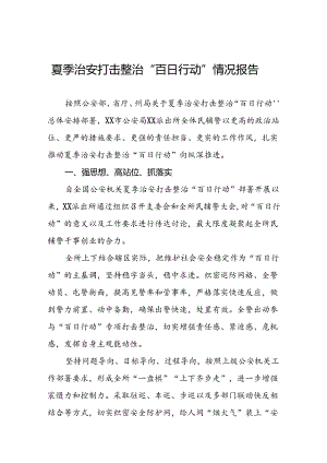 派出所开展夏季治安打击整治“百日行动”情况总结报告十六篇.docx