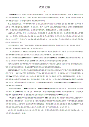 sap_成功.docx