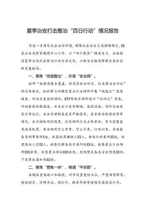 派出所2024年夏季治安打击整治行动工作总结17篇.docx