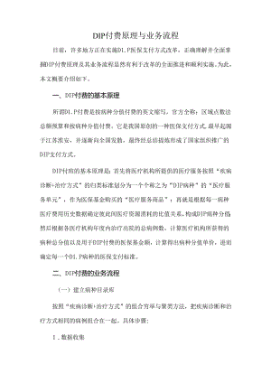 DIP付费原理与业务流程.docx