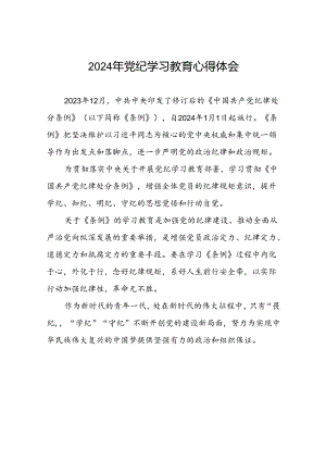 青年党员关于2024年党纪学习教育的心得体会九篇.docx