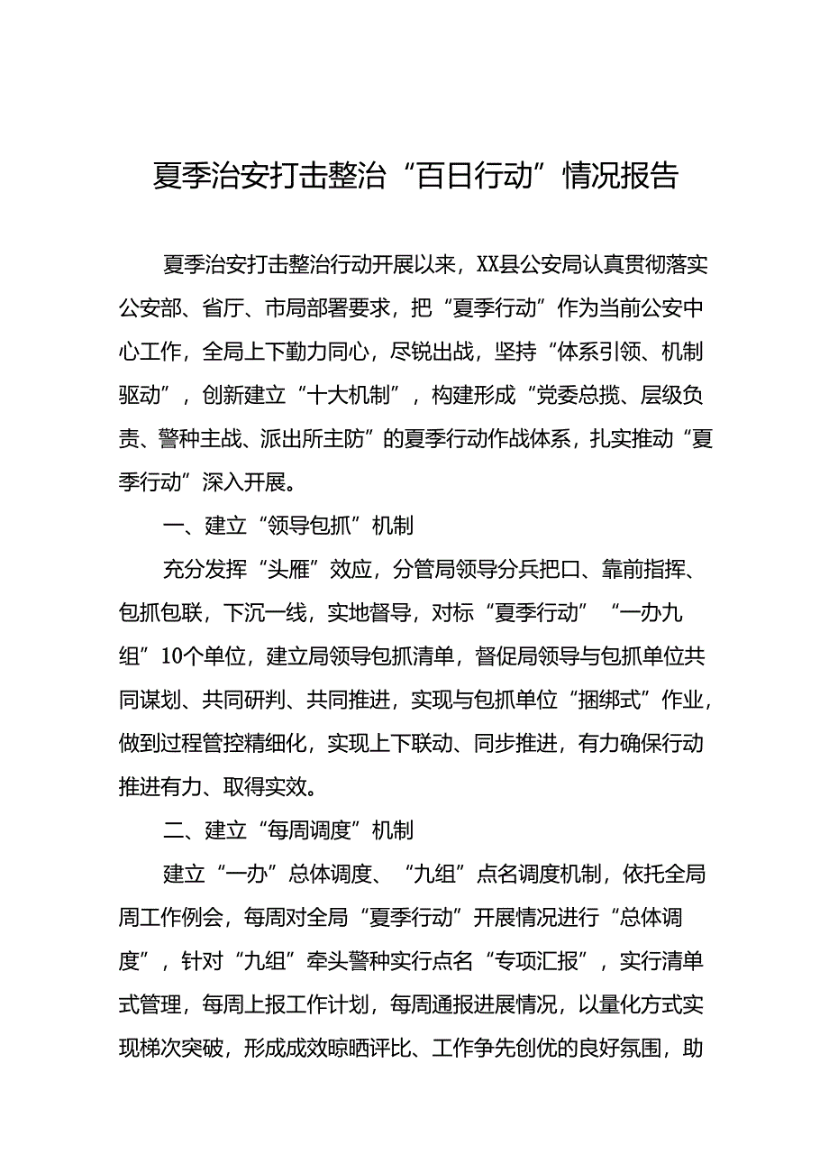 2024年公安夏季治安打击整治专项行动总结汇报11篇.docx_第1页