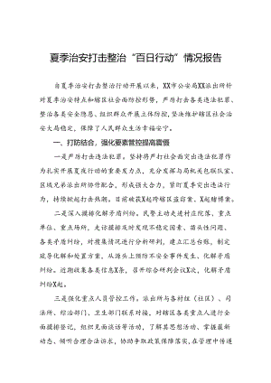 派出所2024年夏季治安打击整治行动工作汇报十六篇.docx