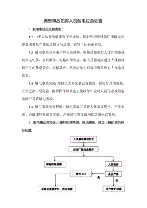 典型事故伤害人员触电应急处置.docx