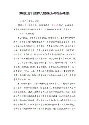 供销社部门整体支出绩效评价自评报告.docx
