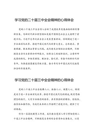 关于二十届三中全会精神的心得体会发言材料二十六篇.docx