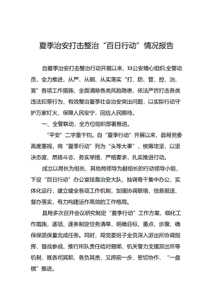 2024年公安夏季治安打击整治行动情况汇报十篇.docx