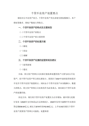 个贷不良资产处置要点.docx