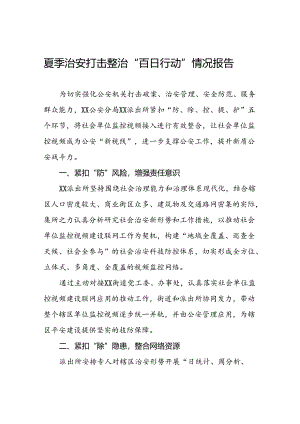 十八篇2024年公安机推进夏季治安打击整治行动情况报告.docx