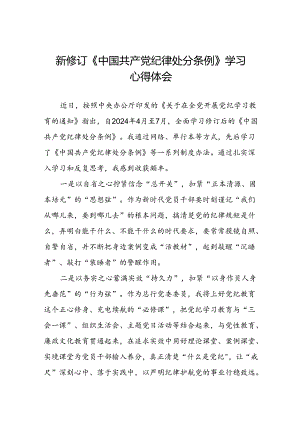 银行党员干部关于2024年新修订版中国共产党纪律处分条例的学习心得体会十三篇.docx
