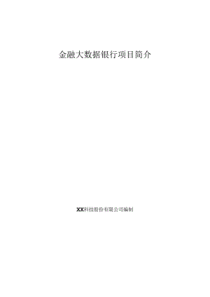 金融大数据银行项目简介.docx