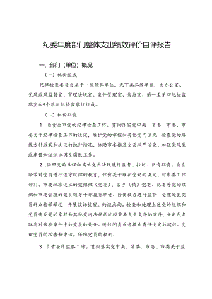 纪委年度部门整体支出绩效评价自评报告.docx