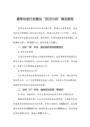 十八篇2024年区公安分局开展夏季治安打击整治“百日行动”进展情况汇报总结.docx