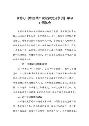 纪检干部学习2024新修订中国共产党纪律处分条例心得体会八篇.docx