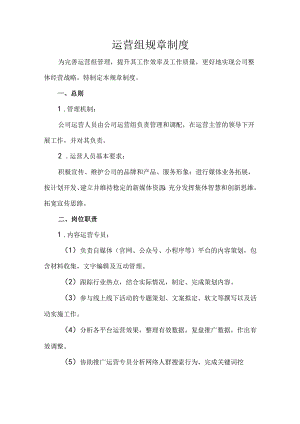 运营组规章制度.docx