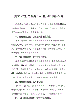 派出所2024年夏季治安严打整治工作总结十八篇.docx