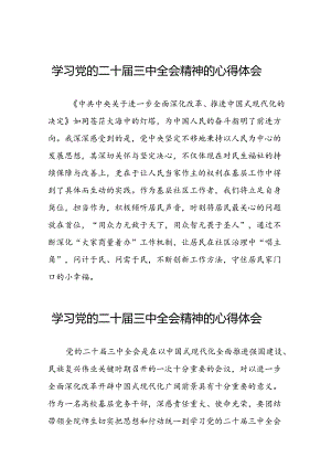 党的二十届三中全会精神的学习心得体会汇编四十四篇.docx