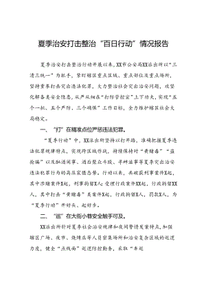 派出所2024年“夏季行动”工作总结报告十六篇.docx