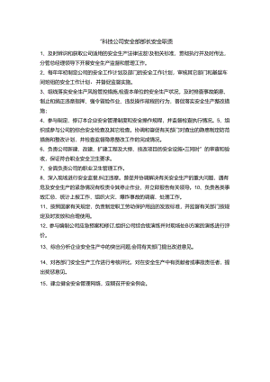 能源科技公司安全部部长安全职责.docx