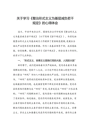 《整治形式主义为基层减负若干规定》的学习感悟10篇.docx