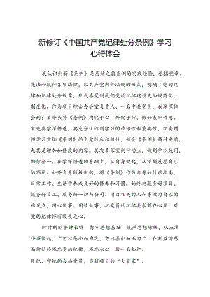 项目负责人关于2024新版中国共产党纪律处分条例的心得体会八篇.docx