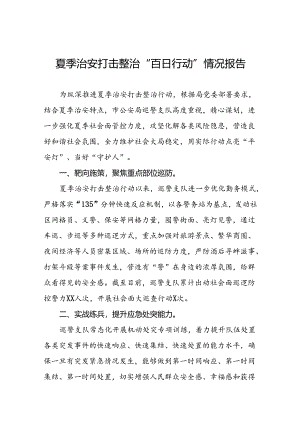 2024年夏季治安打击整治行动总结汇报10篇.docx