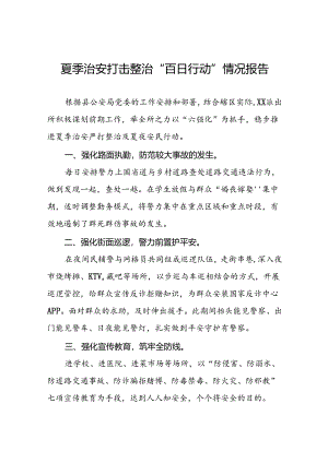 派出所2024年夏季治安严打整治工作总结七篇.docx