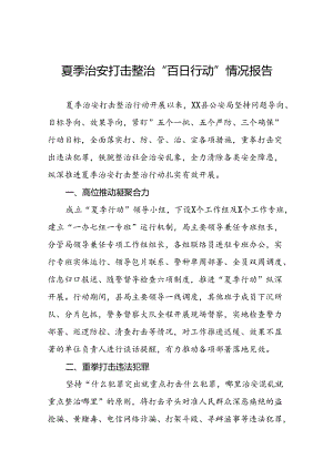 十二篇2024年公安推进夏季治安打击整治行动走深走实的情况简报.docx