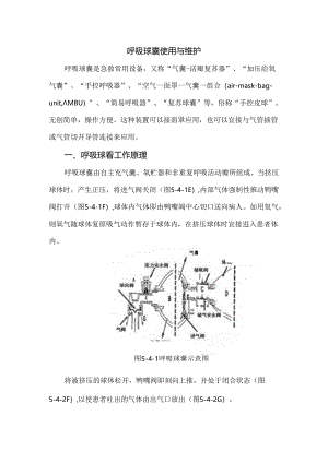 呼吸球囊使用与维护.docx