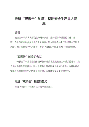 推进“双报告”制度整治安全生产重大隐患.docx