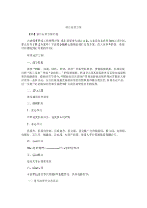 项目运营方案.docx