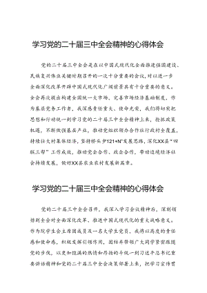 党的二十届三中全会精神的学习感悟发言二十六篇.docx