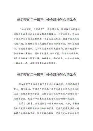 关于2024学习贯彻党的二十届三中全会精神的心得体会二十六篇.docx