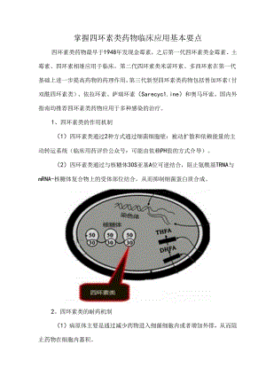 掌握四环素类药物临床应用基本要点.docx