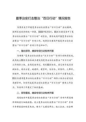 九篇2024年开展夏季治安打击整治“百日行动”工作总结.docx