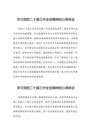 学习党的二十届三中全会精神的心得感悟发言材料三十篇.docx