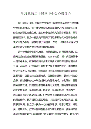 2024年学习学习党的二十届三中全会个人心得体会 （13份）.docx