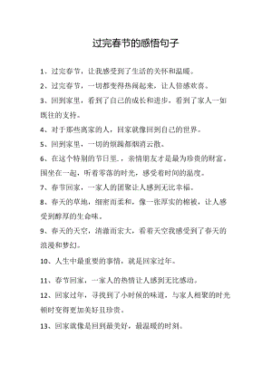 过完春节的感悟句子.docx