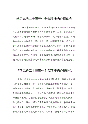 学习党的二十届三中全会精神的心得感悟优秀模板三十篇.docx
