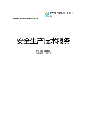 安全生产技术服务公司介绍.docx