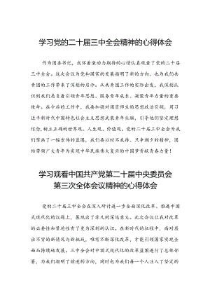 学习观看中国共产党第二十届中央委员会第三次全体会议精神的心得体会十四篇.docx