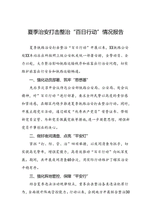 九篇2024年夏季治安打击整治“百日行动”工作总结.docx