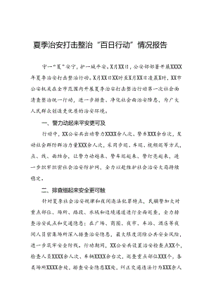 十二篇2024年夏季治安打击整治行动情况报告.docx