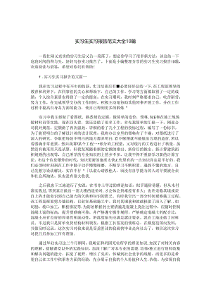 实习生实习报告范文大全10篇.docx
