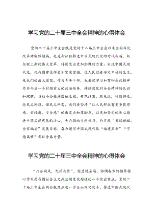 关于2024年党的二十届三中全会精神的心得体会三十五篇.docx